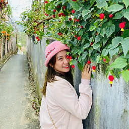 Hoàng Thị Nguyên Thảo