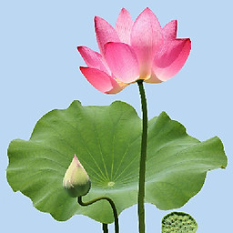 Nguyễn Hoàng Minh