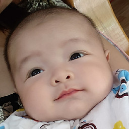 phạm thị lệ sin