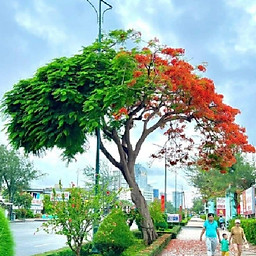 Bảo Art