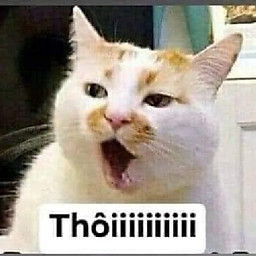 Nguyễn Lê Kiều Chinh