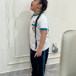 Lê Tú