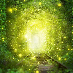 Nguyễn Hoài Phong