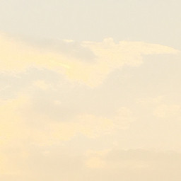 Ngọc Anh