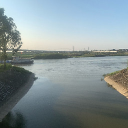 Trần Phước