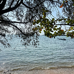 Trần Nguyễn Trà My