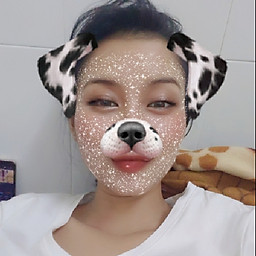 Tăng Lê Thùy Trang