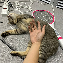 Hồ Lê Chí Hiếu