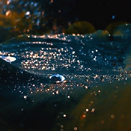 Huỳnh Quốc Thành