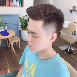 Việt Tùng