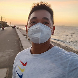 Nguyễn Mậu Tùng Anh