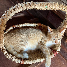 Thiền viện Phước Nghiêm