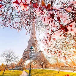 Nguyễn Thị Cẩm Tiên