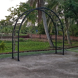 Đinh Hậu