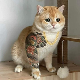 Lê Đức Phương Minh