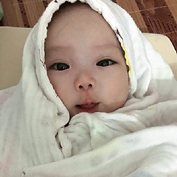 Nguyễn Đình Hải