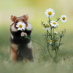 Trần Thị Thúy Ngân