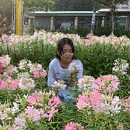 Phạm Thị Kim Tuyến