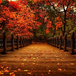 Hoàng Đức Tiến