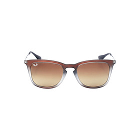 Kính Mát Unisex Rayban RB 4221F 6224 13 (Free Size) - Màu Trà