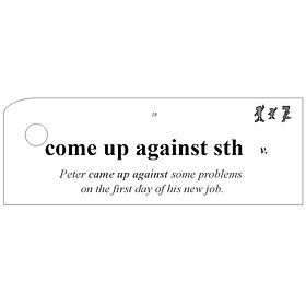 Flashcard Phrasal Verbs - High Quality - DVD (10BD)