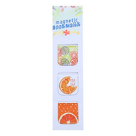 Bộ 3 Bookmark Nam Châm Kính Vạn Hoa - Summer Fruits: Orange