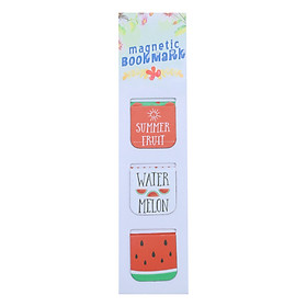Bộ 3 Bookmark Nam Châm Kính Vạn Hoa - Summer Fruits: Watermelon