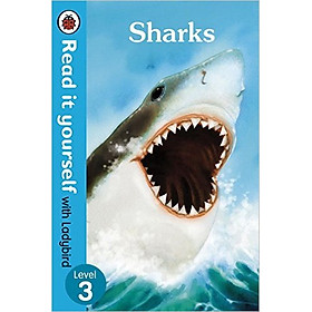 Download sách Read It Yourself with Ladybird Sharks