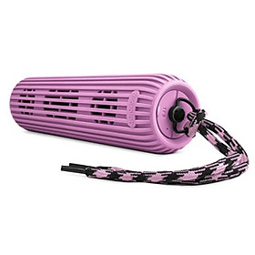 Loa Bluetooth Microlab D21