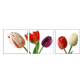 Đồng hồ tranh HH00246
