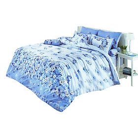 Bộ drap cotton hiệu ToTo nhập khẩu Thái Lan TT231 1m6x2m