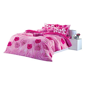 Bộ drap họa tiết hoa tulip TOTO TT251