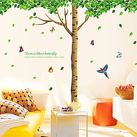 Decal dán tường hình cây bóng mát - PK01