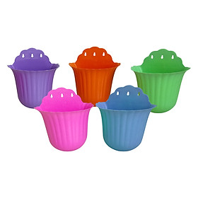 Combo 5 Chậu Ốp Tường Hoa Sọc Hải Đăng CH5-02