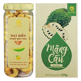 Combo Hạt Điều Nghệ Mật Ong Hải Long (250g) + Mãng Cầu Sấy Dẻo Hải Long (120g)