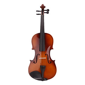 Mua Violin Gỗ Đỏ 4/4 KBD 34A4-Do