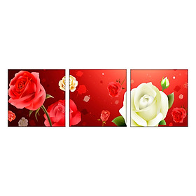 Đồng hồ tranh HH00257