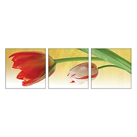 Đồng hồ tranh HH00282