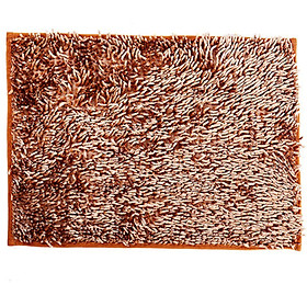Mua Thảm San Hô Siêu Bóng Homeeasy 40x60cm