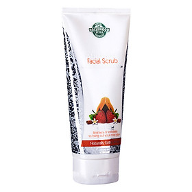 Tẩy Da Chết Dạng Cát Trắng Da Chiết Xuất Thảo Dược Hollywood Style Whitening Facial Scrub