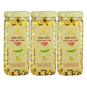 Combo 3 Hũ Sen Sấy Gừng Mật Ong Hải Long (230g / Hũ)