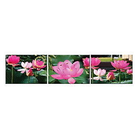 Đồng hồ Tranh Q6D6-04 sen hồng