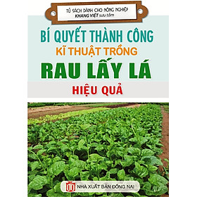 Hình ảnh Bí Quyết Thành Công Kĩ Thuật Trồng Rau Lấy Lá Hiệu Quả