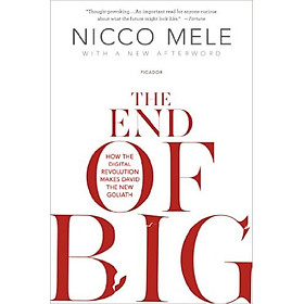 Download sách The End Of Big