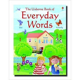 Usborne Everyday Words