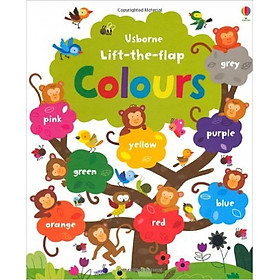 Usborne Lift-the-Flap Colours