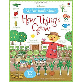 Usborne My First Book About How Things Grow