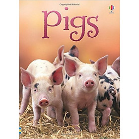 [Download Sách] Usborne Pigs