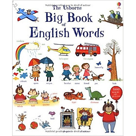 Usborne Big Book of English Words