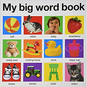 My Big Word Book